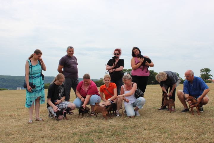 Zwergpinschertreffen 2015
