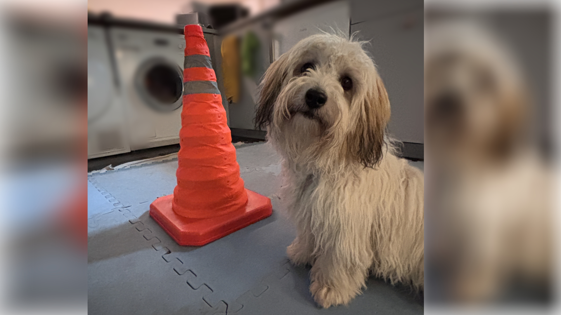 Facebook-Beitrag | Pylone