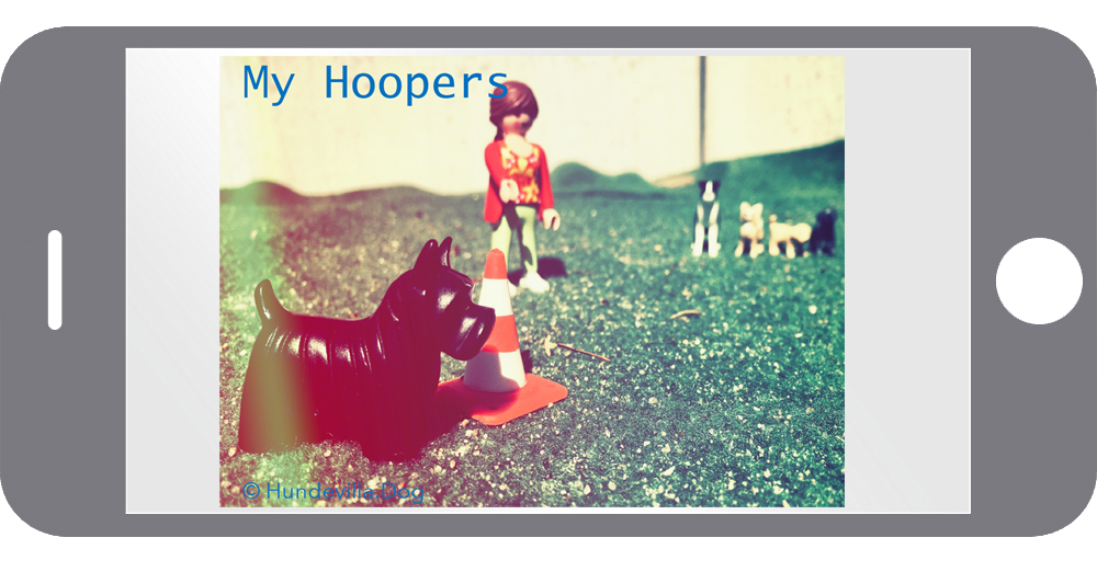 My Hoopers bei Hundevilla.Dog eBooklet digital