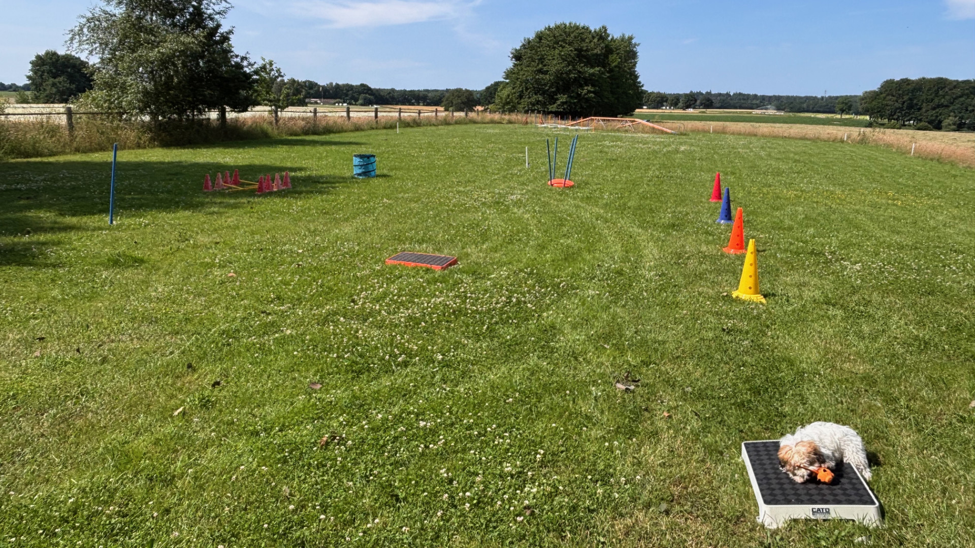 Babyparcours