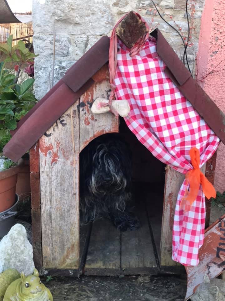 Italien - Netzfund