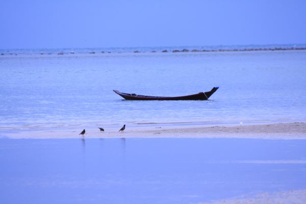 Thailand 2011