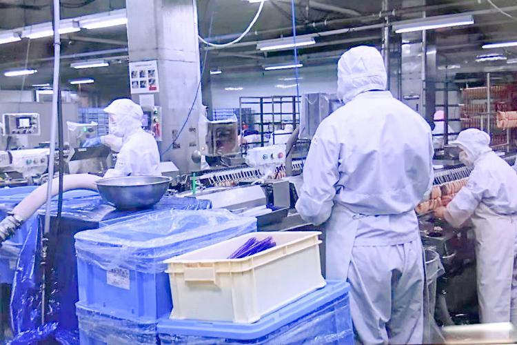 実習現場（食品製造）