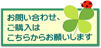お問い合わせ、ご購入はこちらから