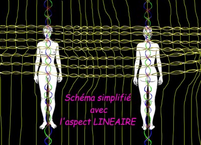 GEOMETRIE SACREE - GEOMETRIE UNIFIEE - FLEUR de l'UNITE - FLEUR de VIE