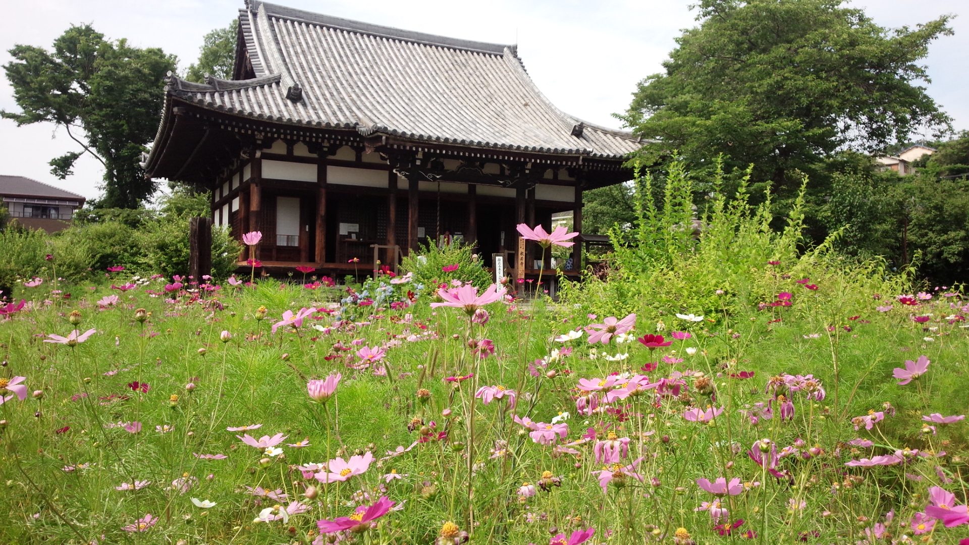 般若寺（きたまち）