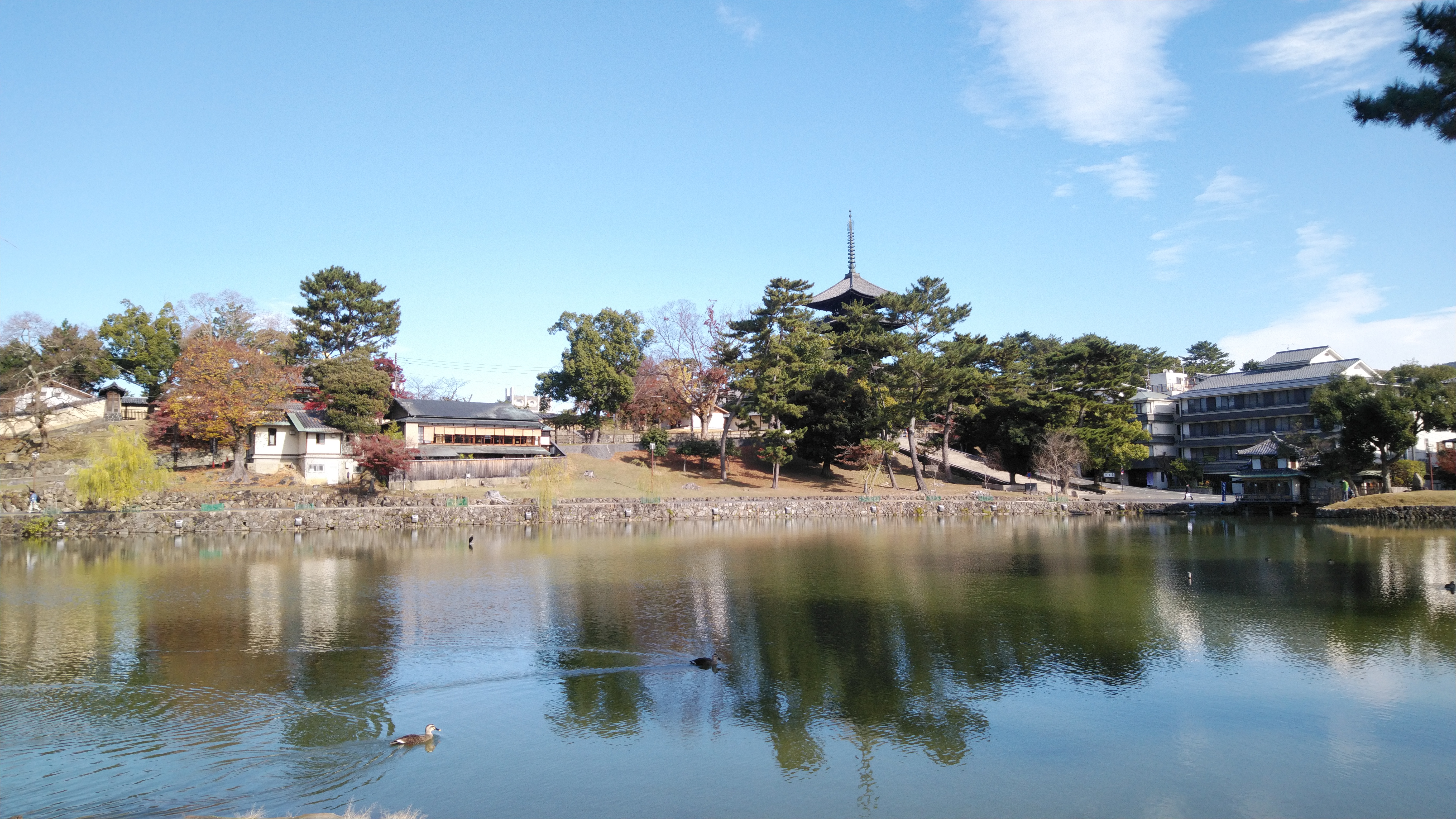 猿沢池から興福寺五重塔を望む