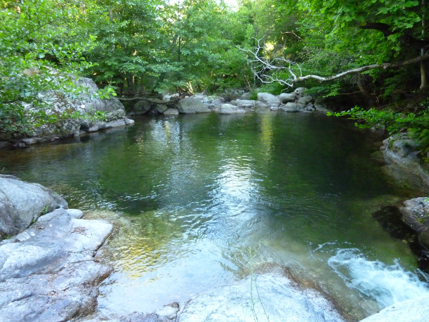 Cévennes...un bain ?