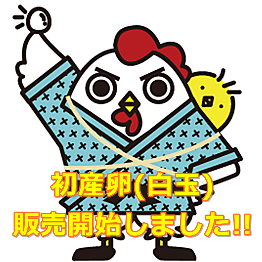 初産卵(SSサイズ/白玉)の販売を開始いたします。』 - 鈴木農場 | 産み