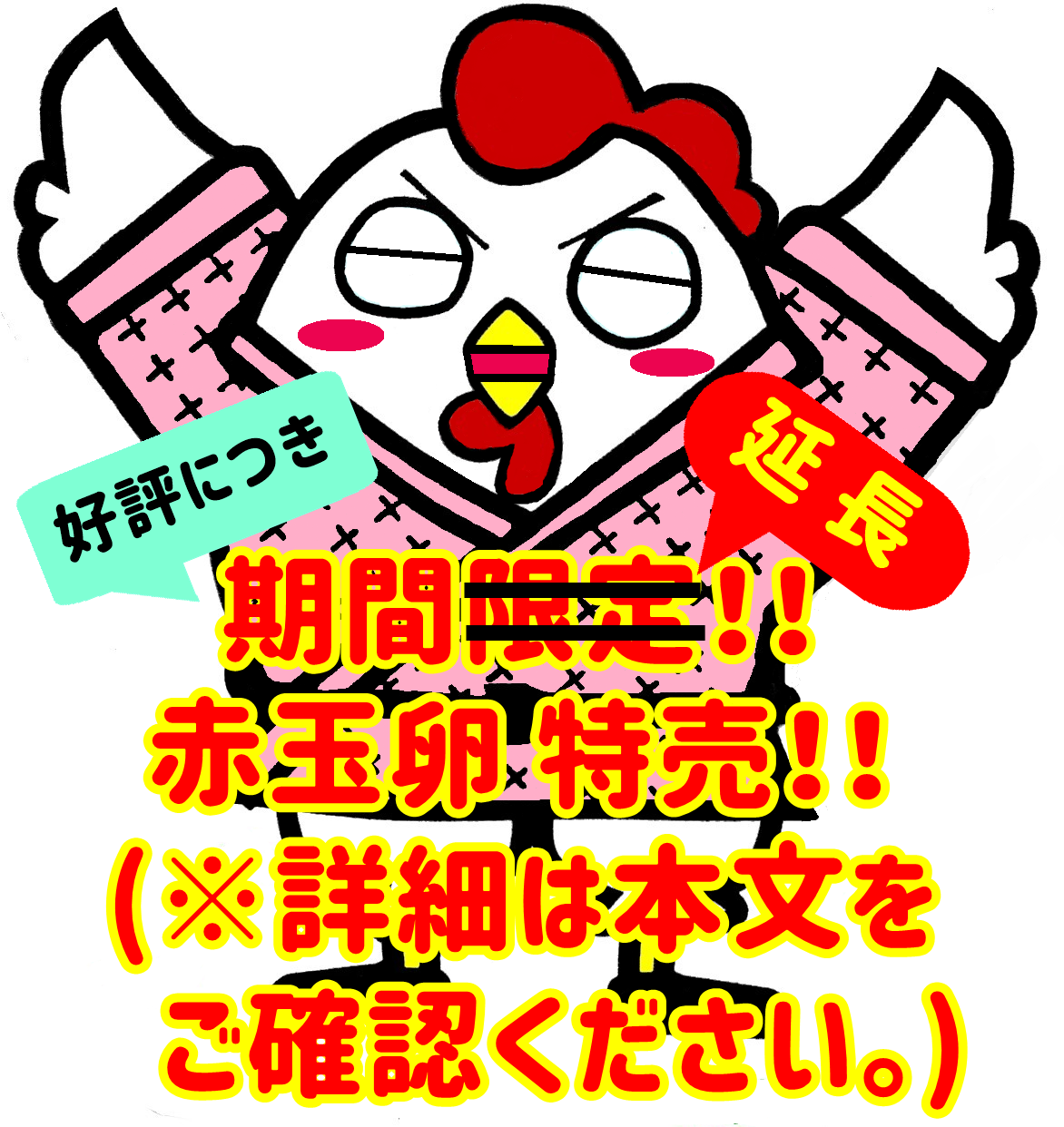ご好評につき赤玉卵特売延長決定!!』 - 鈴木農場 | 産みたて卵直売
