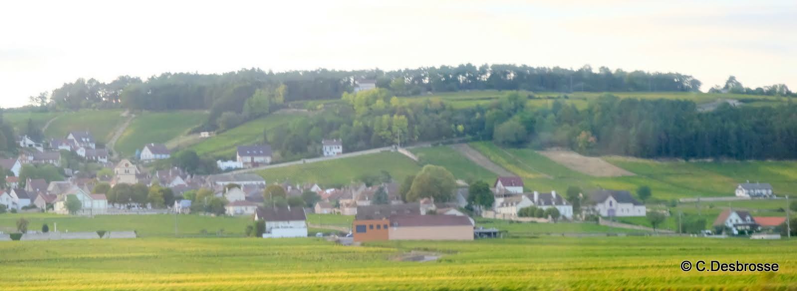 Le vignoble des côtes de Beaune