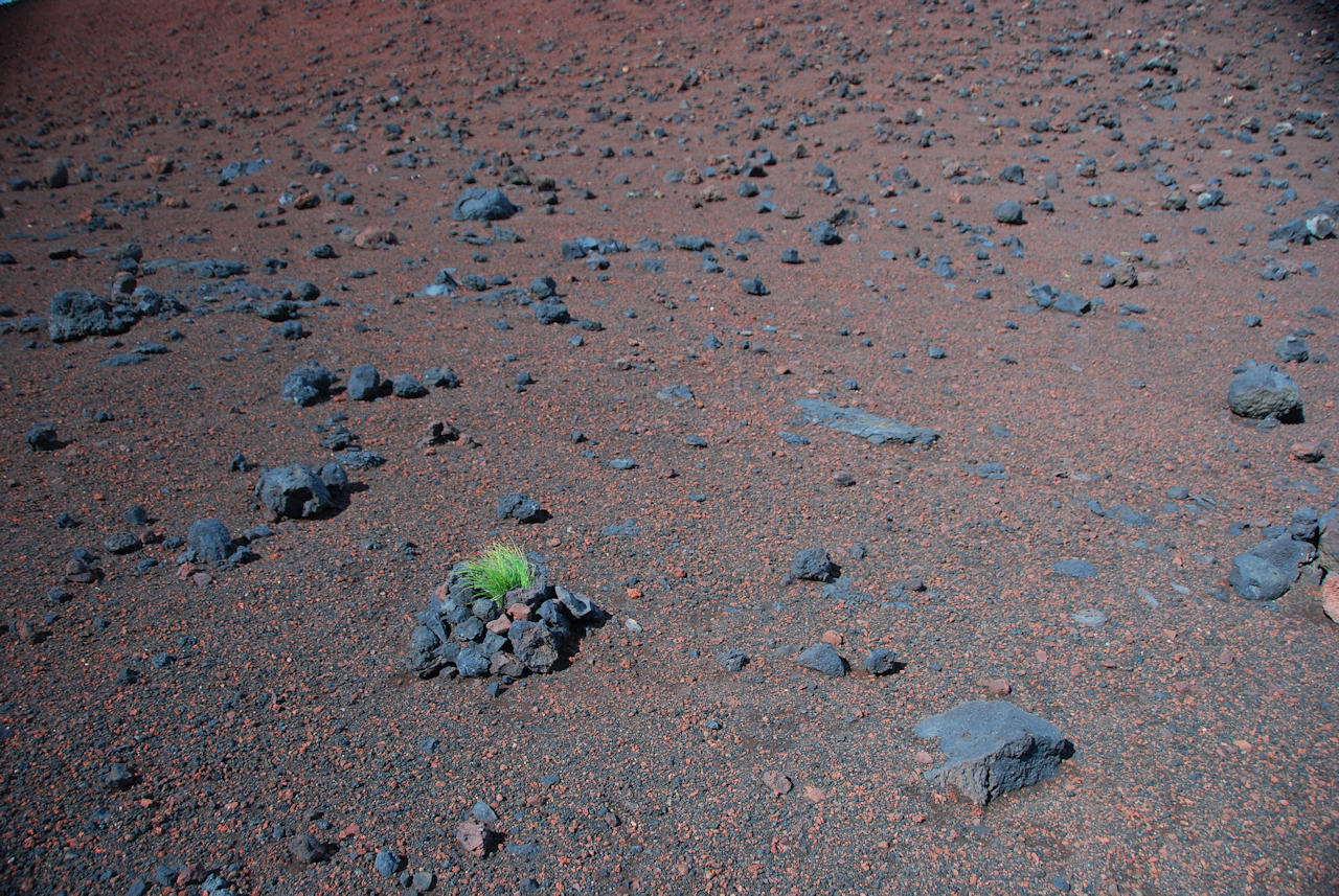 Azores 11.10.2015 - Faial: Capelinhos