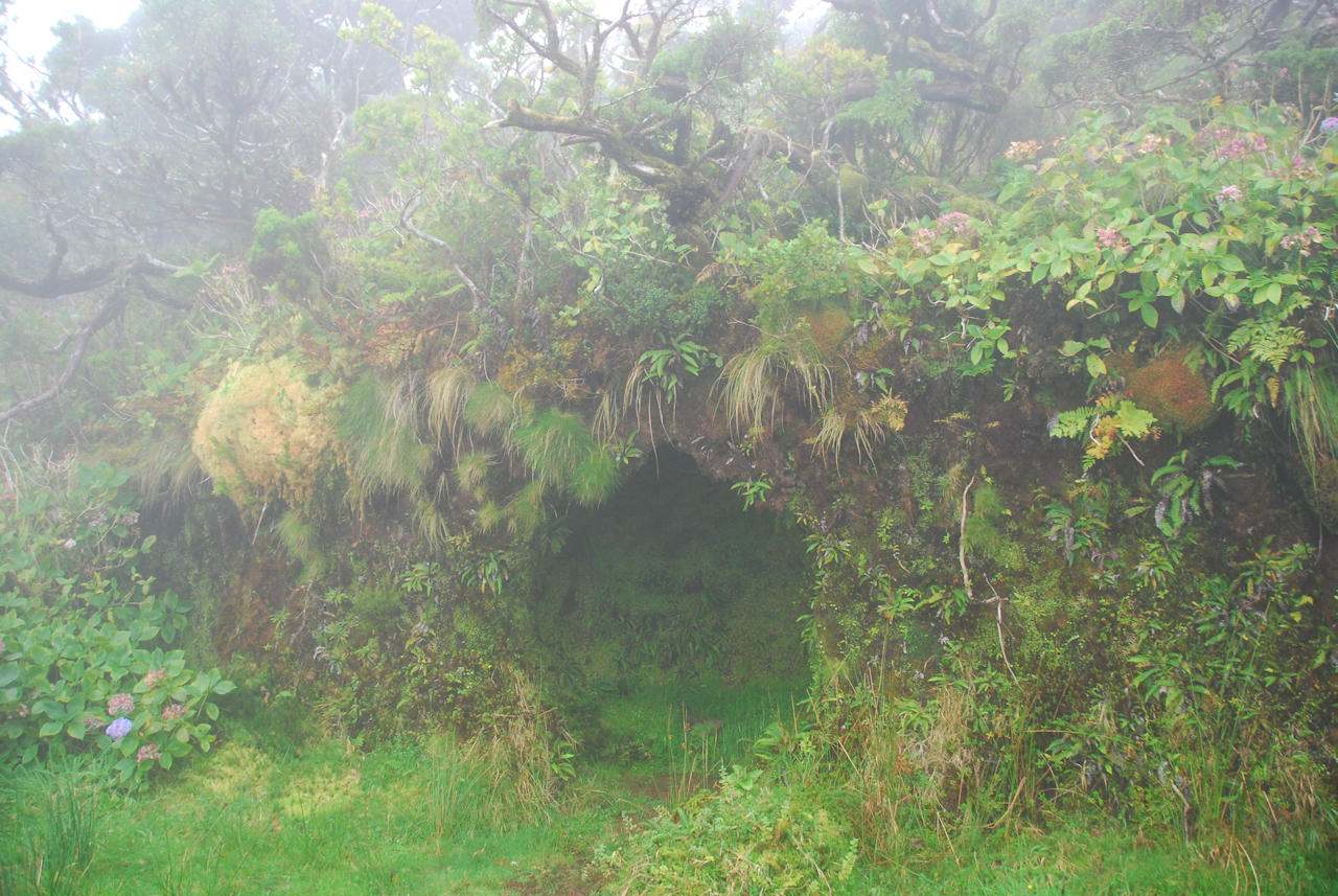 Azores 13.10.2015 - Sao Jorge: Hike to Faja da Caldeira de Santo and Faja Dos Cubres.