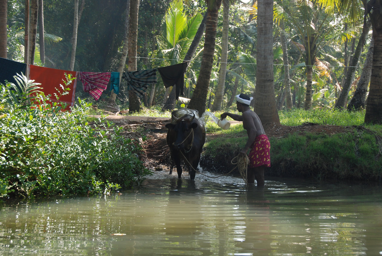 Kollam Munroe Island 05.01.2012: On the canals.
