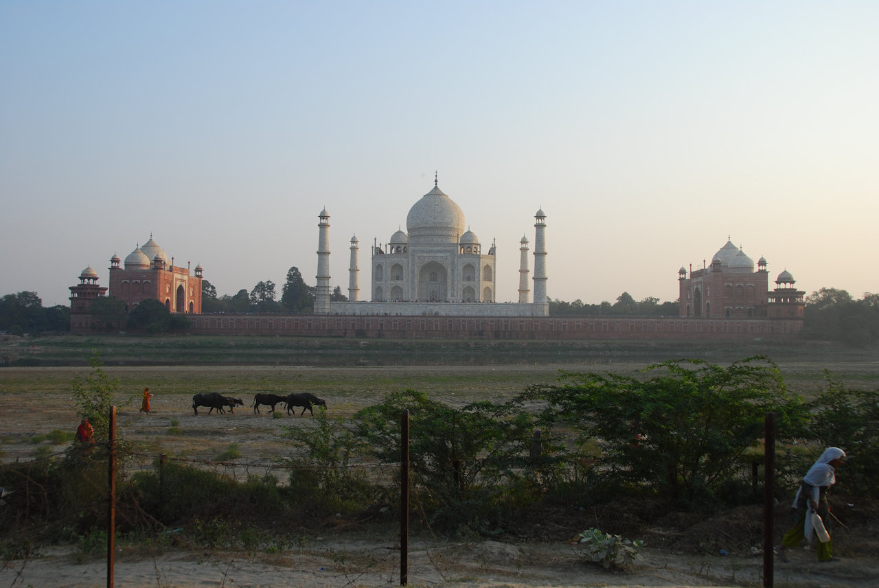 Agra 27.11.2014: North view of the Taj Mahal; Jawab left and the mosque to the right.