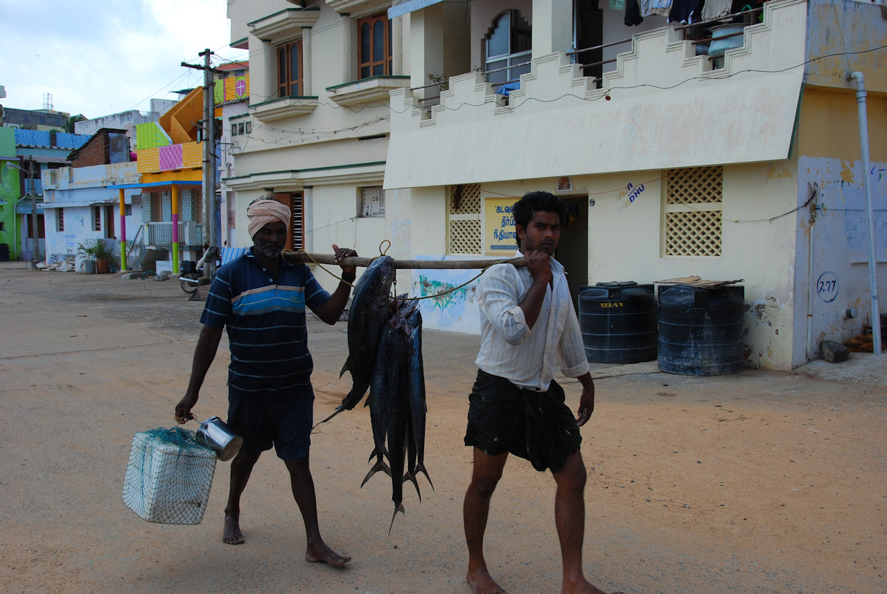 Kanyakumari 10.01.2012: Fisherman & their catch