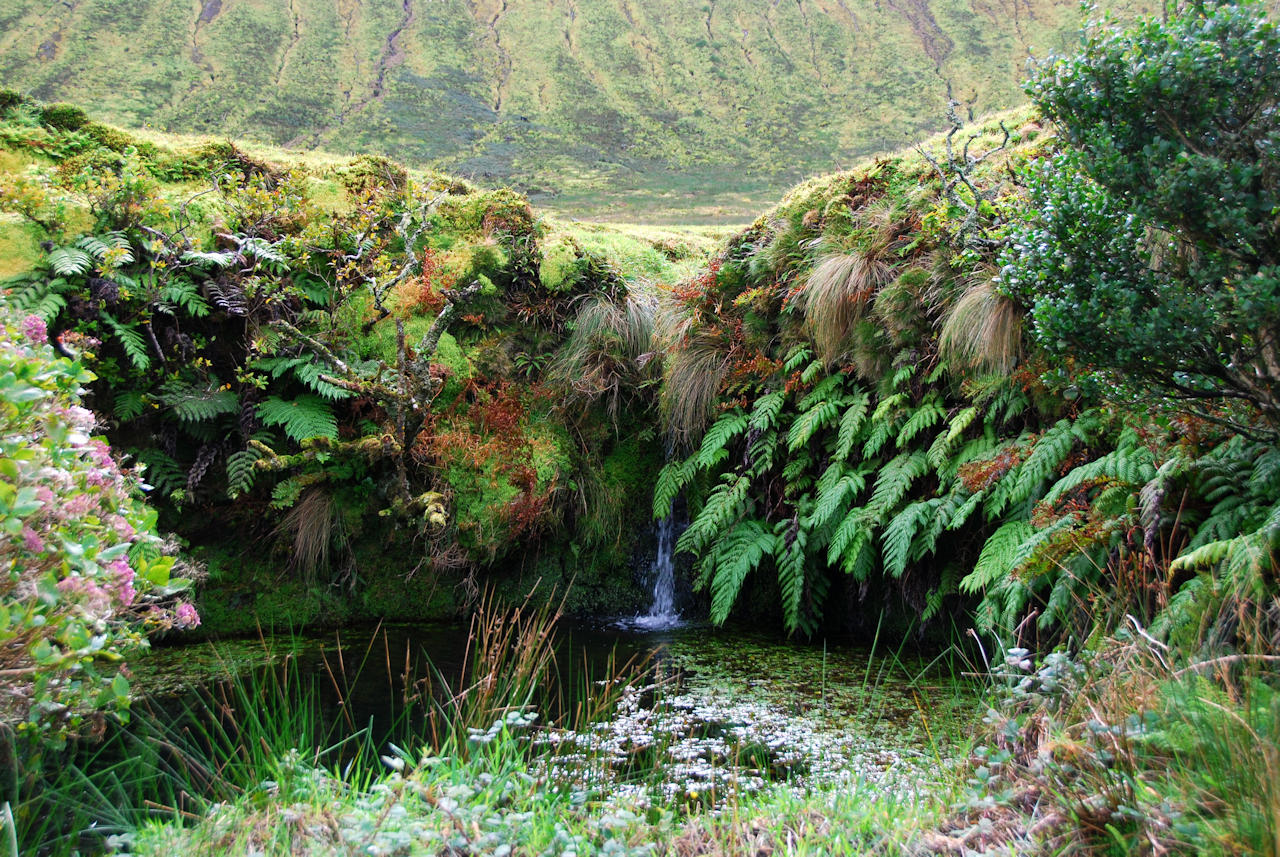Azores 10.10.2015 - Corvo: Lagoa do Caldeirao.