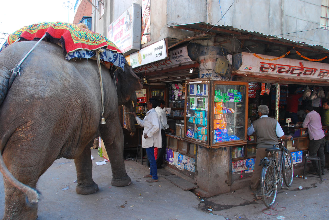 Jodhpur 14.11.2014: Near Sardar Market, downtown Jodhpur.