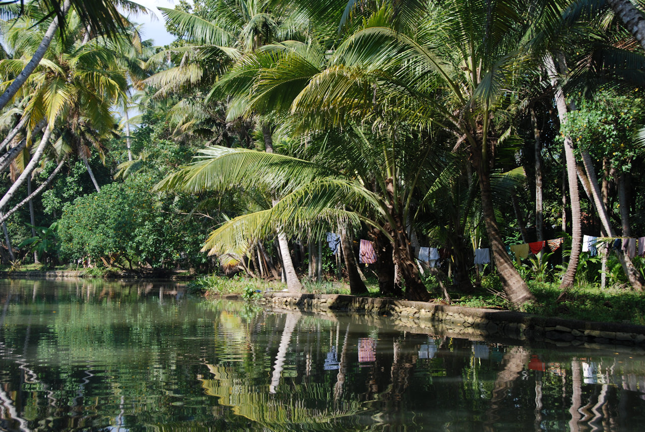 Kollam Munroe Island 05.01.2012: Living at the canals.