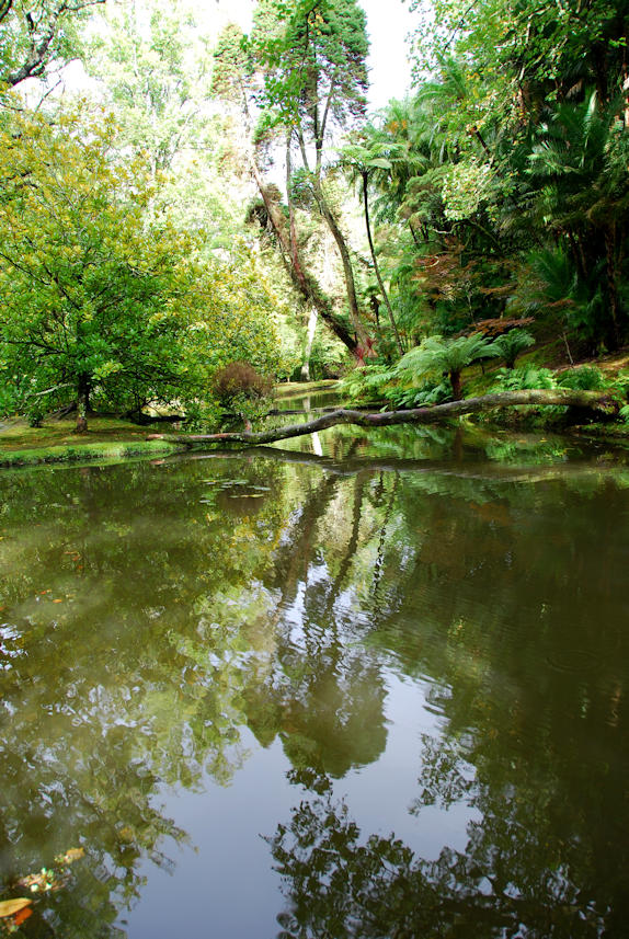 Azores 03.10.2015, Sao Miguel: Terra Nostra, Furnas