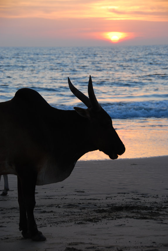 Sunset @ Agonda Beach, Goa 20.11.2010