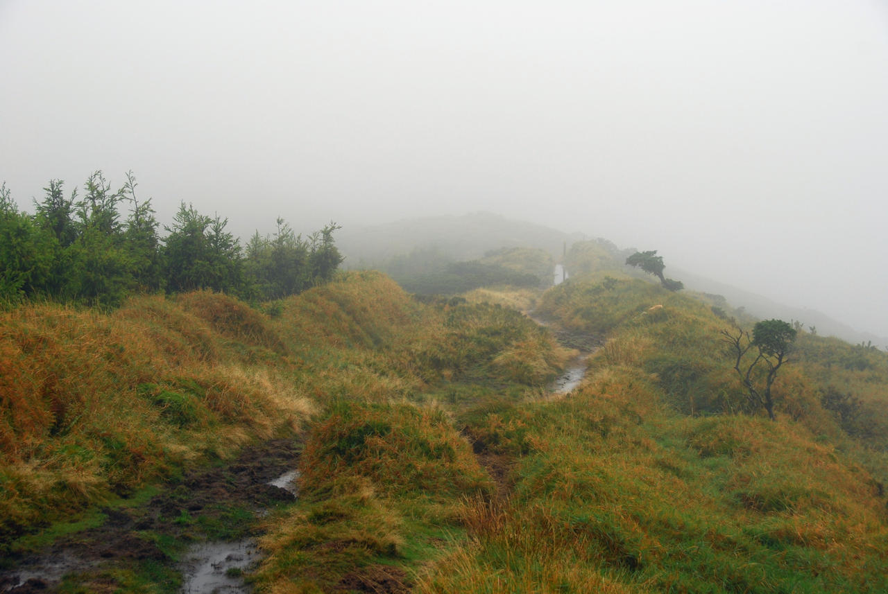 Azores 05.10.2015 - Sao Miguel: Pico da Varo