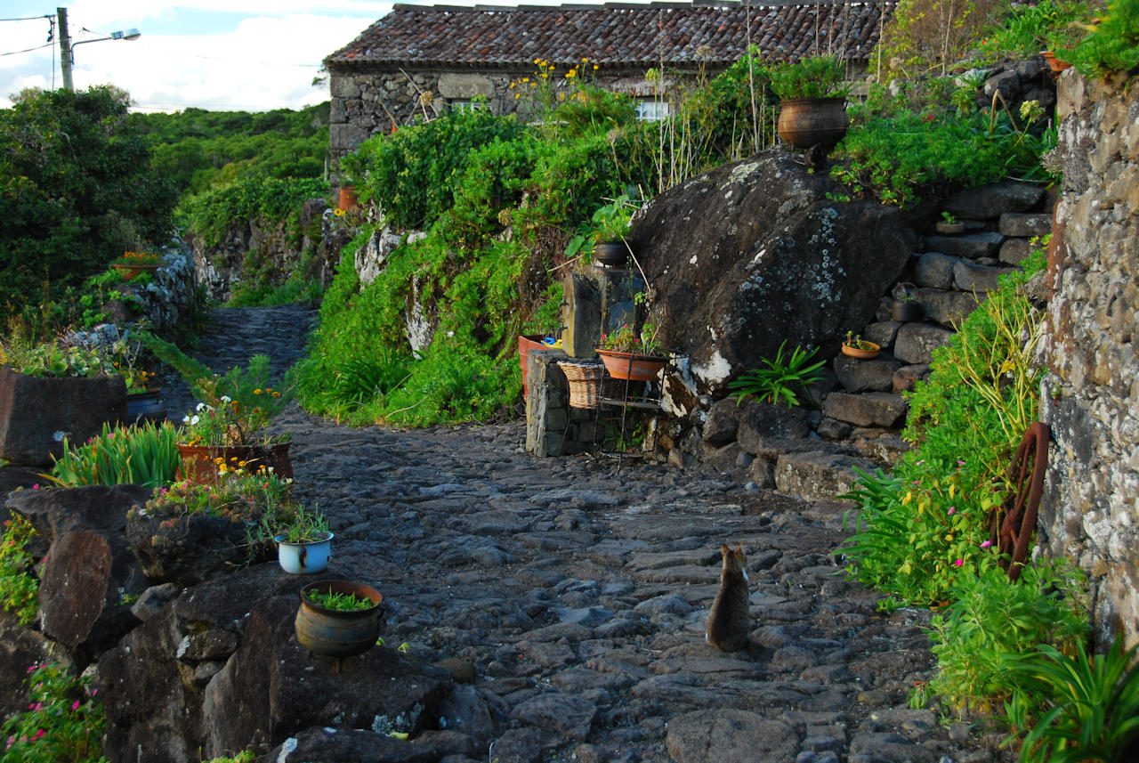 Azores 10.10.2015 - Flores: Aldeia da Cuada.
