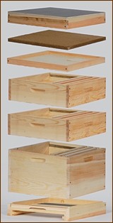 Holzbeute