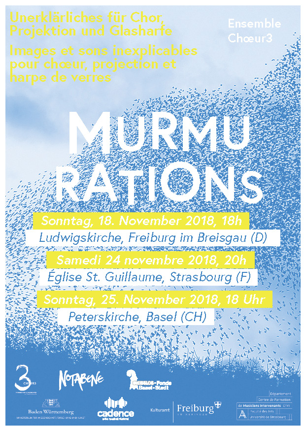 Murmurations-Flyer