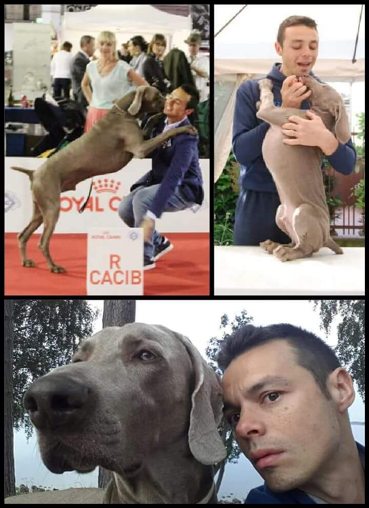 Chi Siamo Benvenuti Su Powershotbreeding