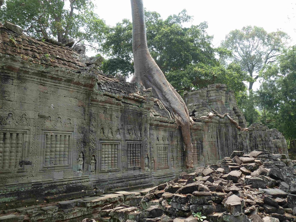 Ruine et vegetation : elements indissociables a Preah Khan
