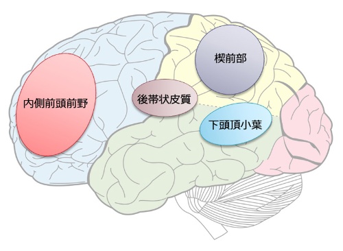 幸せを感じる脳