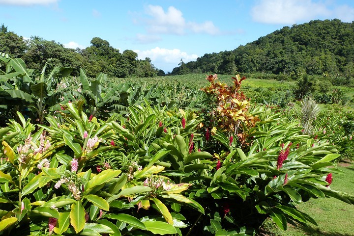 LE JARDIN DE LA RENCONTRE