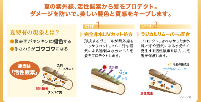 夏の紫外線を防いで、美しい髪色と質感をキープします。