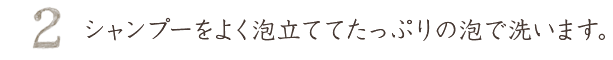 シャンプーをよく泡立ててたっぷりの泡で洗います