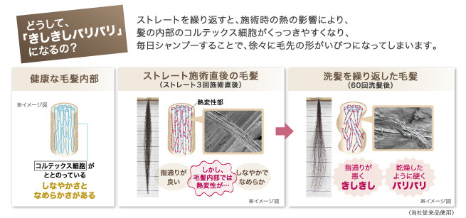 どうして、きしきしパリパリになるの?