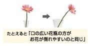 例えると「口の広い花瓶の方がお花が倒れやすいのと同じ」