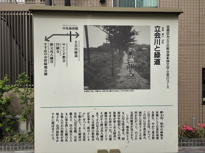 みどりの散歩道 碑文谷 立会川コース my vacation 大人の遠足