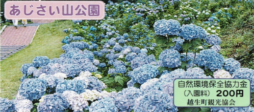 越生あじさい山公園 埼玉県入間郡越生町麦原 My Vacation 大人の遠足