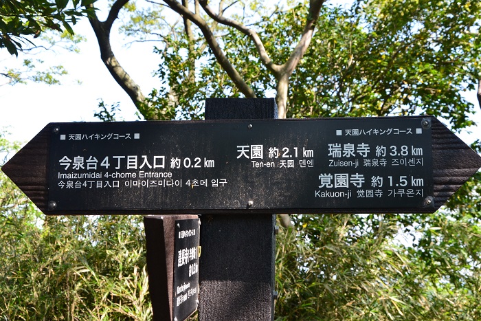 天園ハイキングコース 鎌倉アルプス My Vacation 大人の遠足