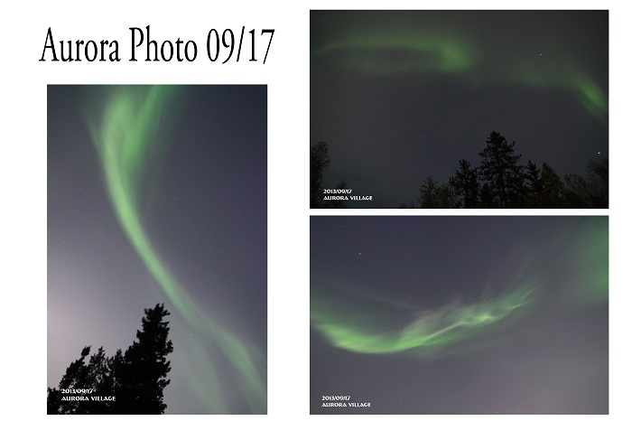 ピニョン松　5PM ピニョン松 5PM 2025年最新】ピニョン松の人気アイテム - メルカリ