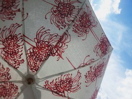 びんがた日傘　マンジュシャゲ　札幌のびんがた工房きものオーダーふじのびんがた工房