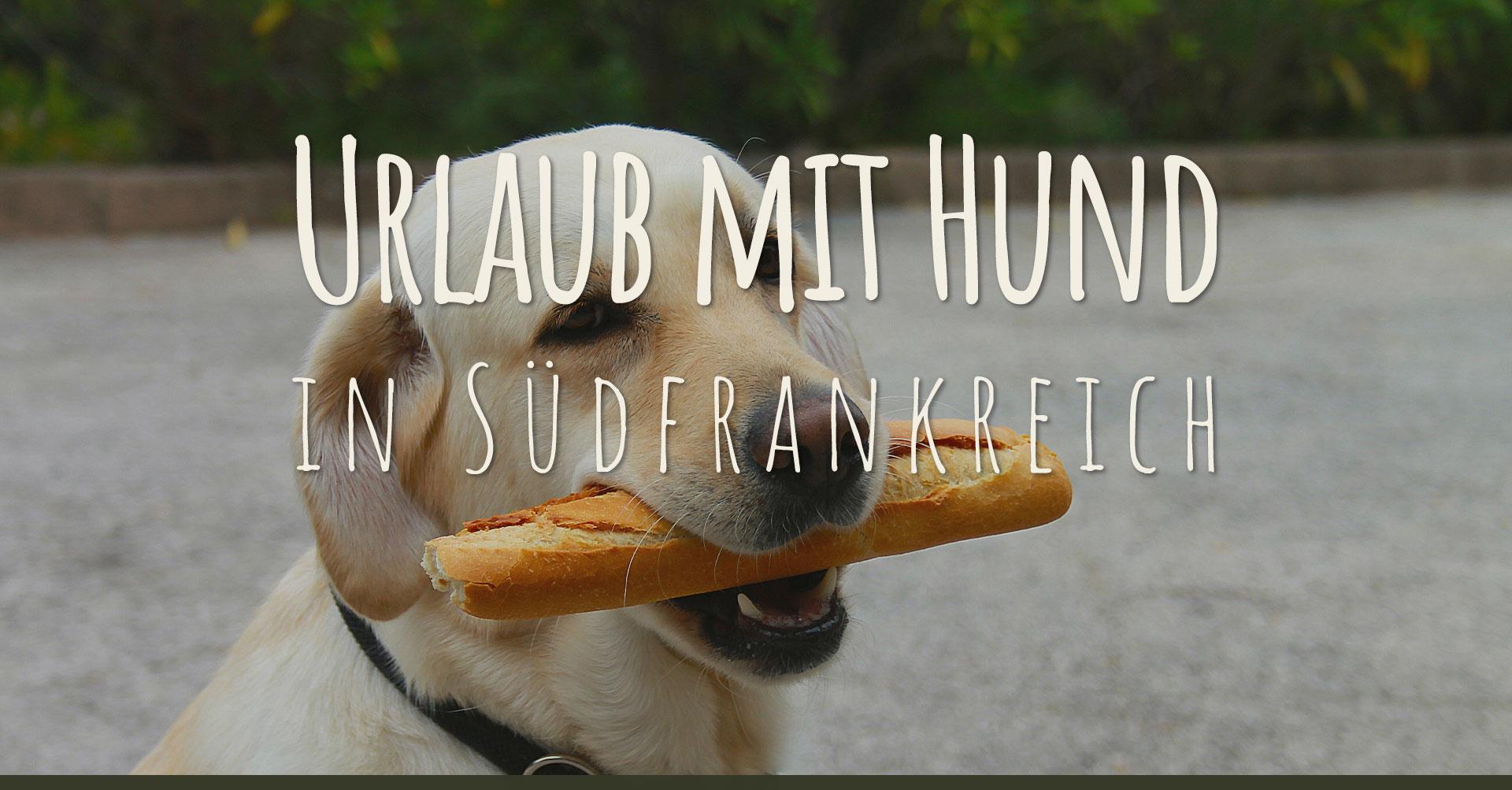 Urlaub mit Hund in Südfrankreich