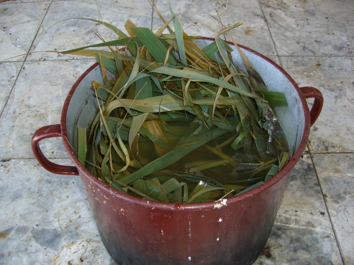 zerkleinern und fermentieren