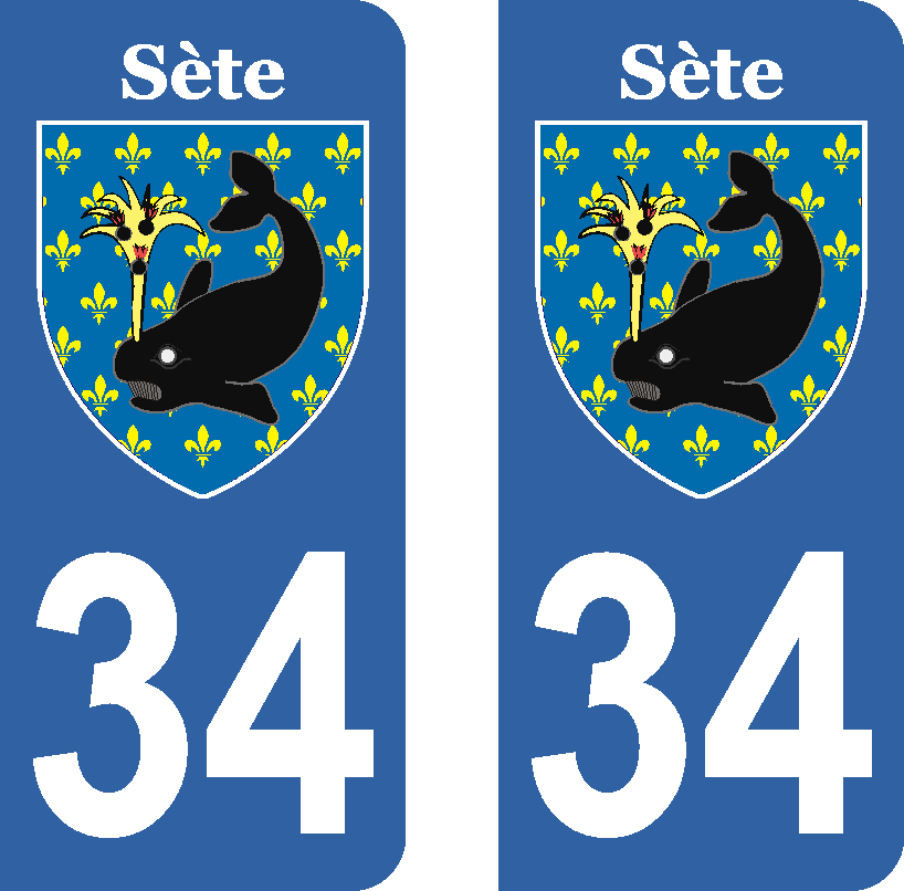 Lot De 2 Stickers Ville De S 232 Te Stickers Pour Plaques