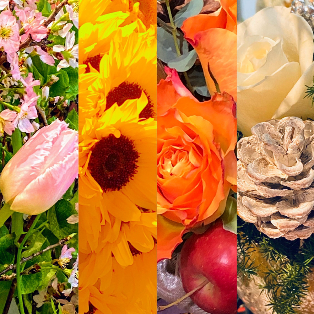 今まで撮った写真で 春夏秋冬を一つに まとめました🌹💐