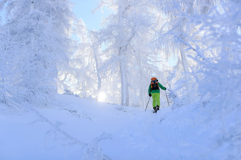 Skitour im Wald