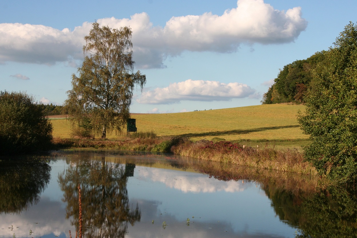 Langwiedteiche bei Nabburg (Foto: Götte)