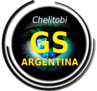 Gran Sims Argentina