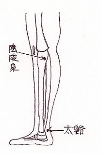 swelling_of_the_leg2.jpg (10863 バイト)